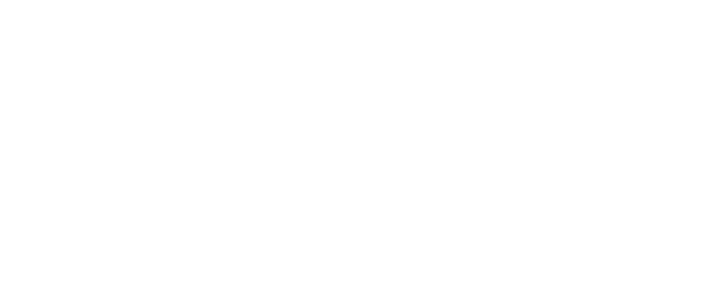 skyler logo white
