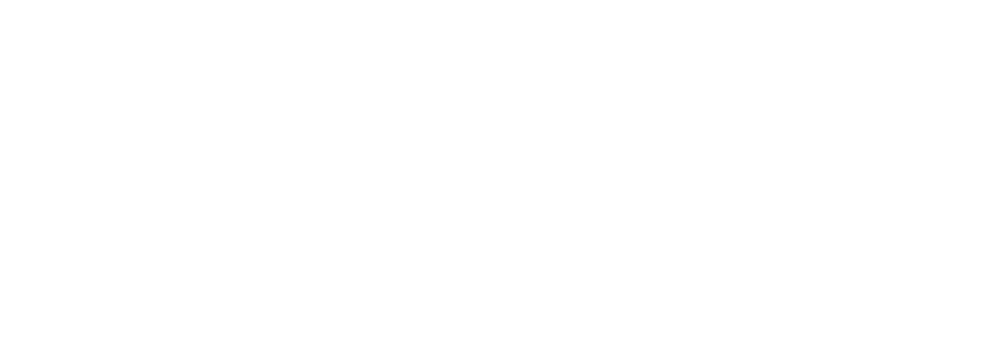 vivlio logo white